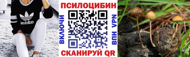 Псилоцибиновые грибы мицелий Мытищи
